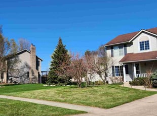 Debra B.'s Leaf Removal service result