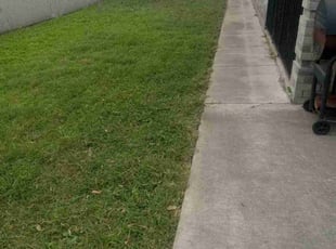 Anne G.'s lawn maintenance service result