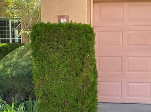 Nathan A.'s lawn service service result