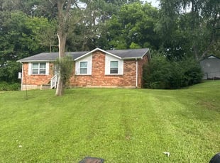 Francine D.'s grass maintenance service result