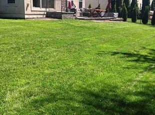 Julie N.'s turf maintenance service result