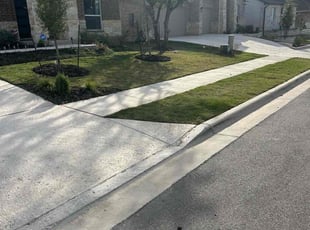 Allen F.'s lawn care service result