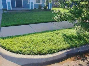 Surujwatie R.'s lawn care services service result