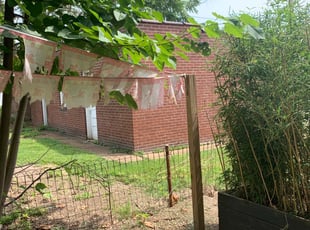 Eric C.'s Bush Trimming service result