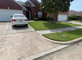 Troy M.'s grass maintenance service result