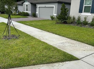 Egberto C.'s lawn care service result
