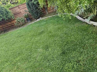 Monica G.'s Flower Bed Weeding service result