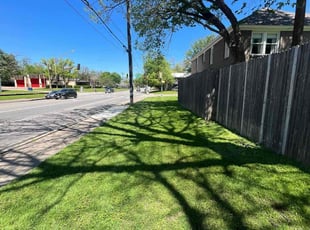Heather S.'s turf maintenance service result