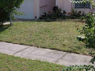 Rita W.'s grass cutting service result