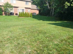 Jong P.'s lawn service service result