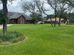 Nina H.'s lawn maintenance service result