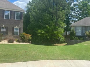 Jerrie M.'s grass cutting service result
