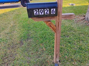 Marianne &amp;.'s turf care service result