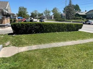 Angie M.'s Bush Trimming service result