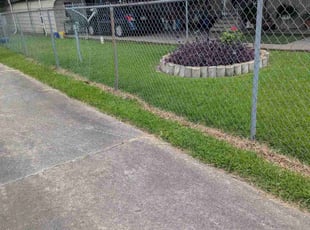 Christine B.'s lawn care service result