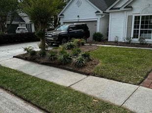 Collin K.'s turf care service result