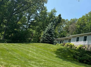 Laura C.'s lawn maintenance service result