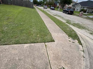Alice W.'s grass maintenance service result