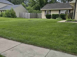 Robyn O.'s lawn maintenance service result