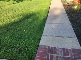 Chad B.'s gardening service service result