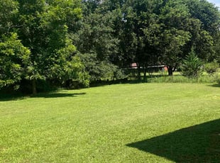 Suntearra H.'s turf care service result