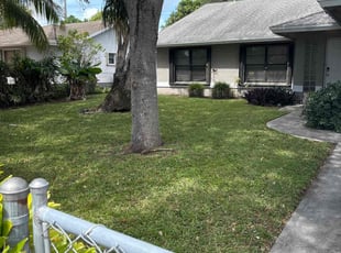 Elaine P.'s lawn service service result