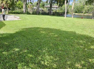 Derek N.'s lawn service service result