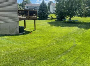 Sean M.'s turf care service result