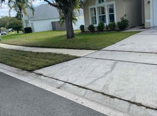 Tania A.'s grass maintenance service result