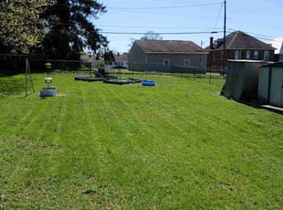 Afshan Q.'s lawn care service result