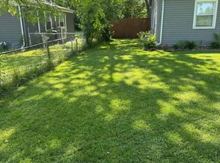 Sharonda M.'s lawn care service result