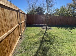 Brian J.'s yard maintenance service result