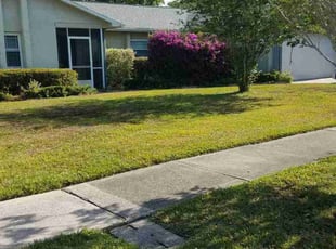 Joyce B.'s grass cutting service result