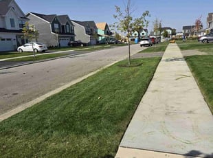 Pam K.'s lawn care service result