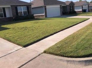 Marita J.'s lawn service service result
