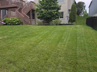 Brenda B.'s lawn care services service result