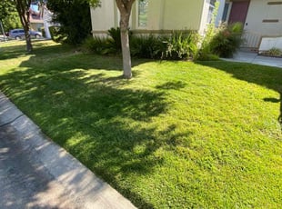 Melinda W.'s lawn care services service result
