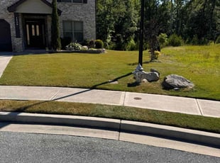 Marcquez F.'s grass cutting service result