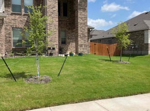 Hyunchul J.'s lawn care service result