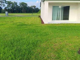 Robert G.'s turf maintenance service result