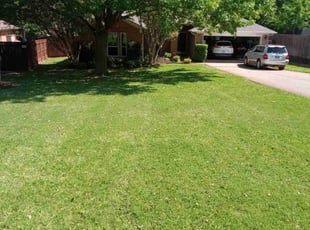 Teresa B.'s lawn service service result