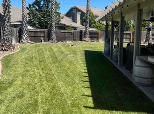 Jose M.'s turf care service result