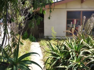 Guilherme B.'s Flower Bed Weeding service result