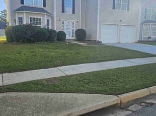 Jaletha D.'s turf maintenance service result