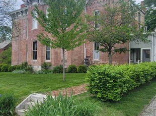 Angel E.'s grass maintenance service result