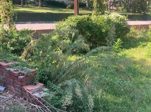 Jerry F.'s Bush Trimming service result