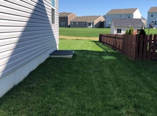 Michael S.'s lawn service service result