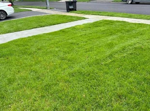 Cathy E.'s lawn care service result