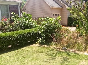 Rob S.'s Bush Trimming service result