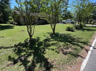 Jennifer W.'s yard care service result